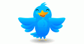 Adfactor Angel
